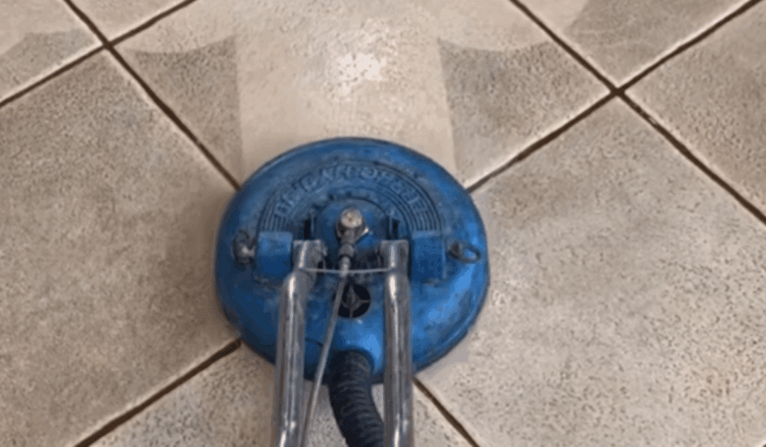 How Often Should You Professionally Clean Your Carpets?