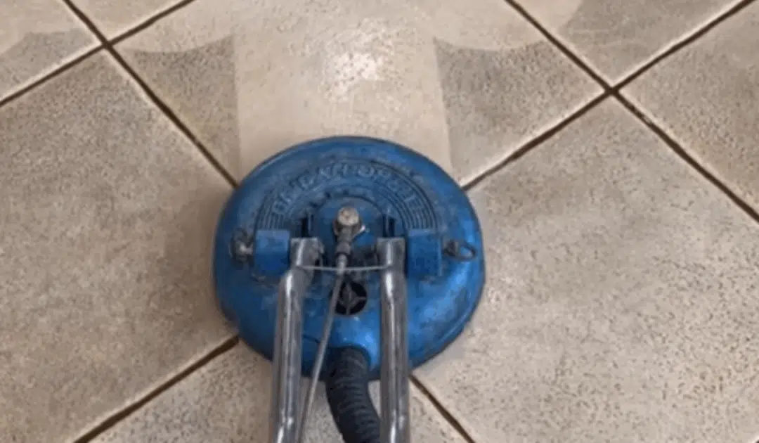 How Often Should You Professionally Clean Your Carpets?
