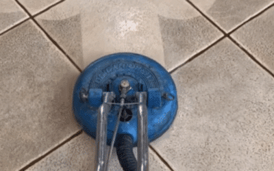 How Often Should You Professionally Clean Your Carpets?
