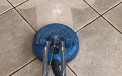 How Often Should You Professionally Clean Your Carpets?