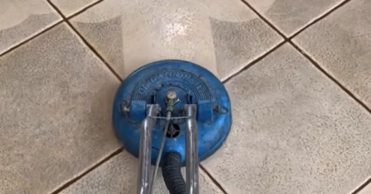How Often Should You Professionally Clean Your Carpets?