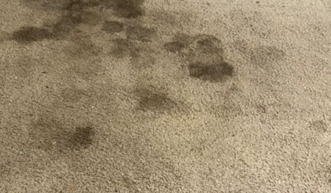 The Hidden Dangers of DIY Carpet Cleaning