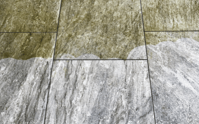 The Ultimate Guide to Tile & Grout Restoration